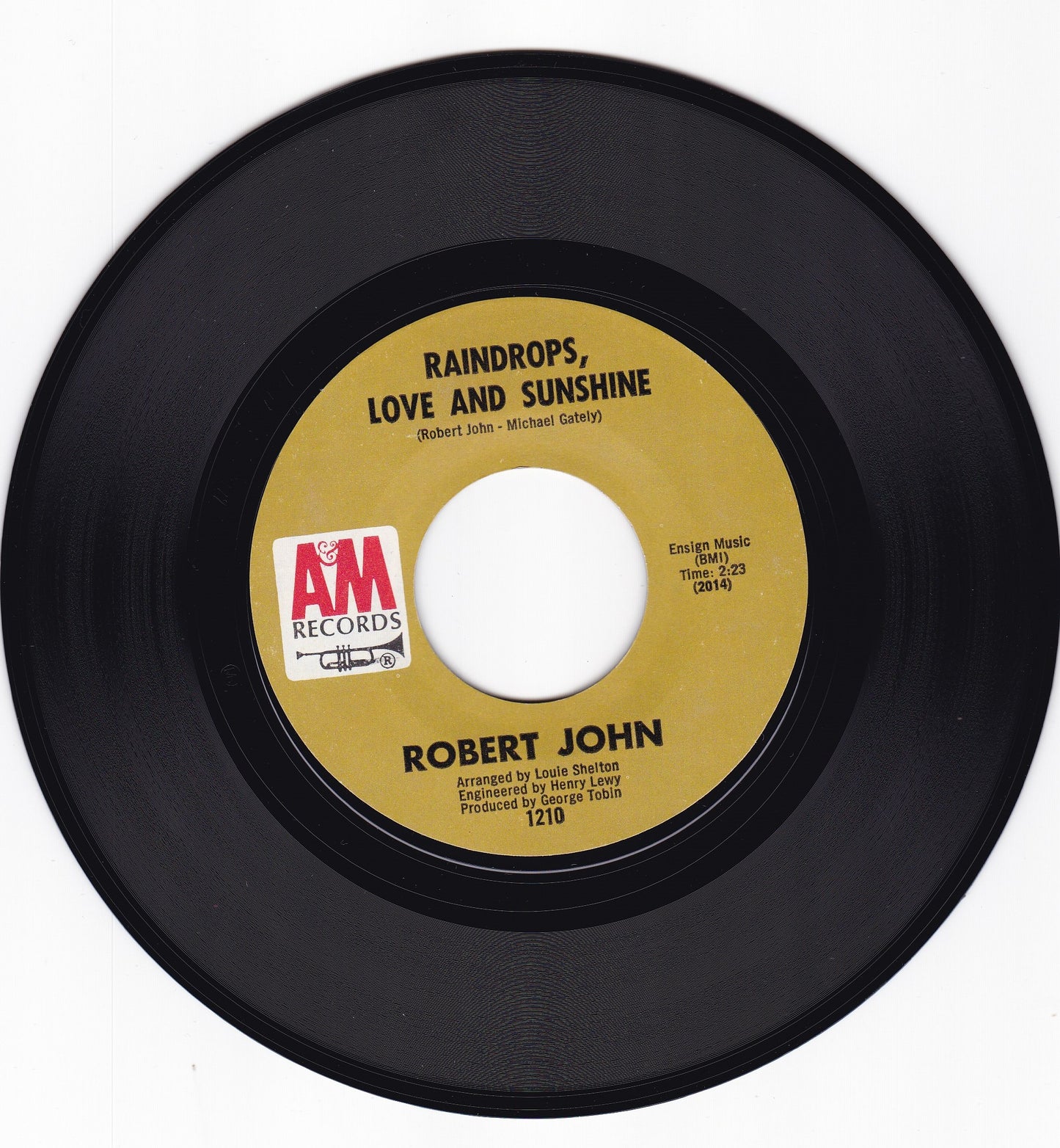 Robert John Raindrops love and sunshine
