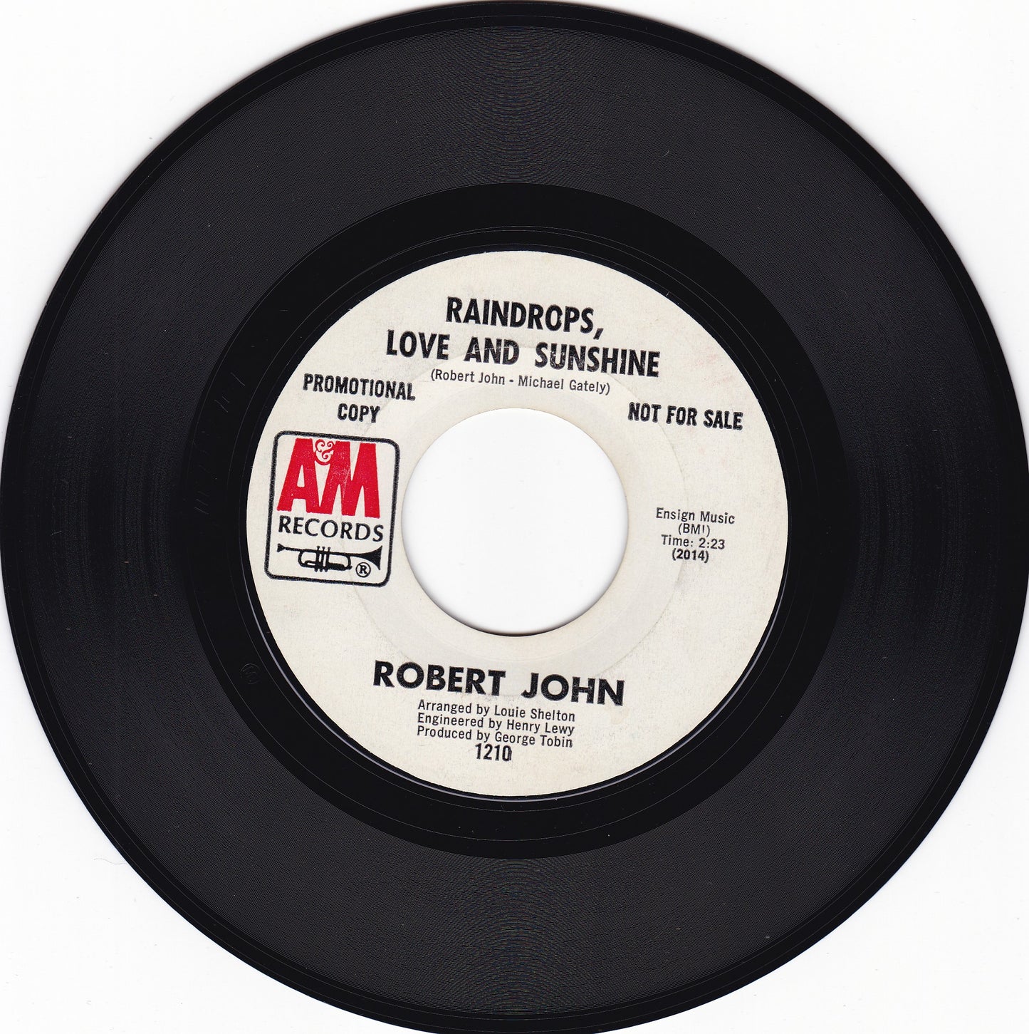 Robert John Raindrops love and sunshine
