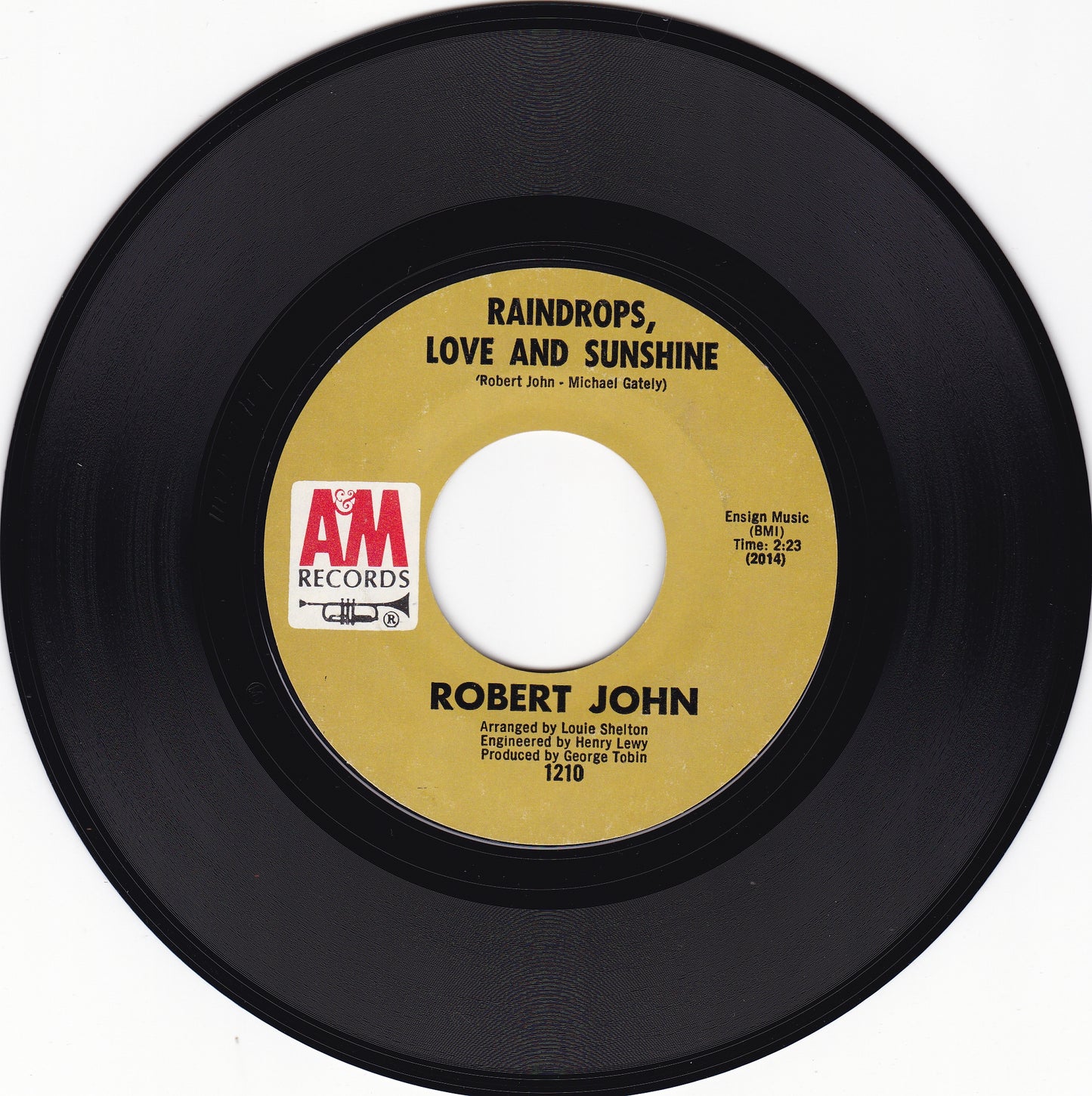 Robert John Raindrops love and sunshine
