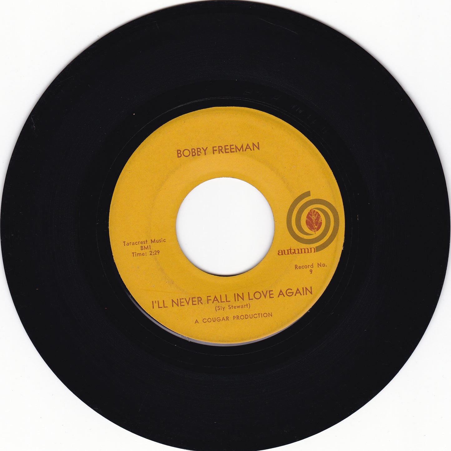 Bobby Freeman I'll never fall in love again