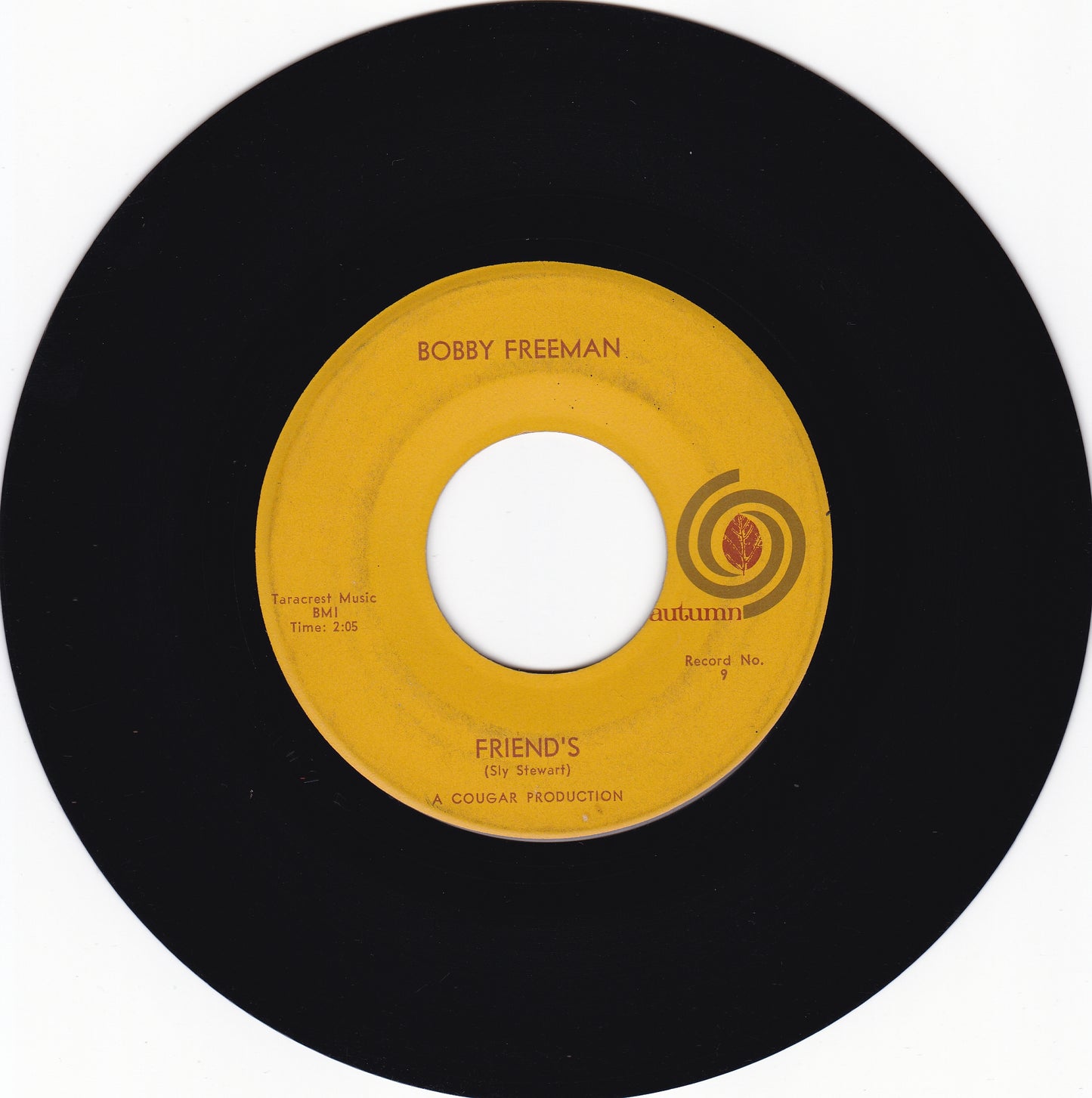 Bobby Freeman I'll never fall in love again