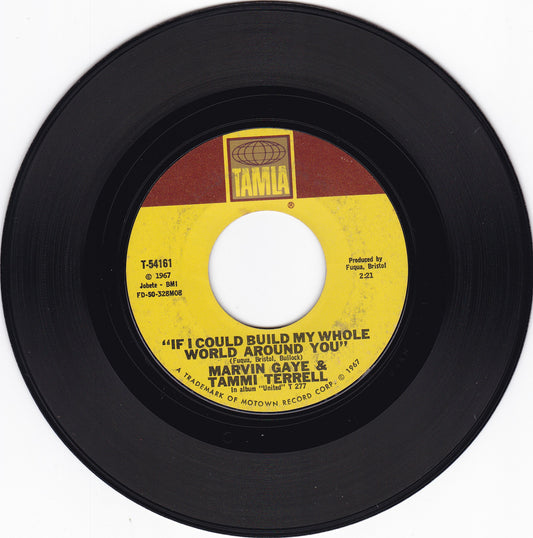 Marvin Gaye & Tammi Terrell If i could build my whole world around you